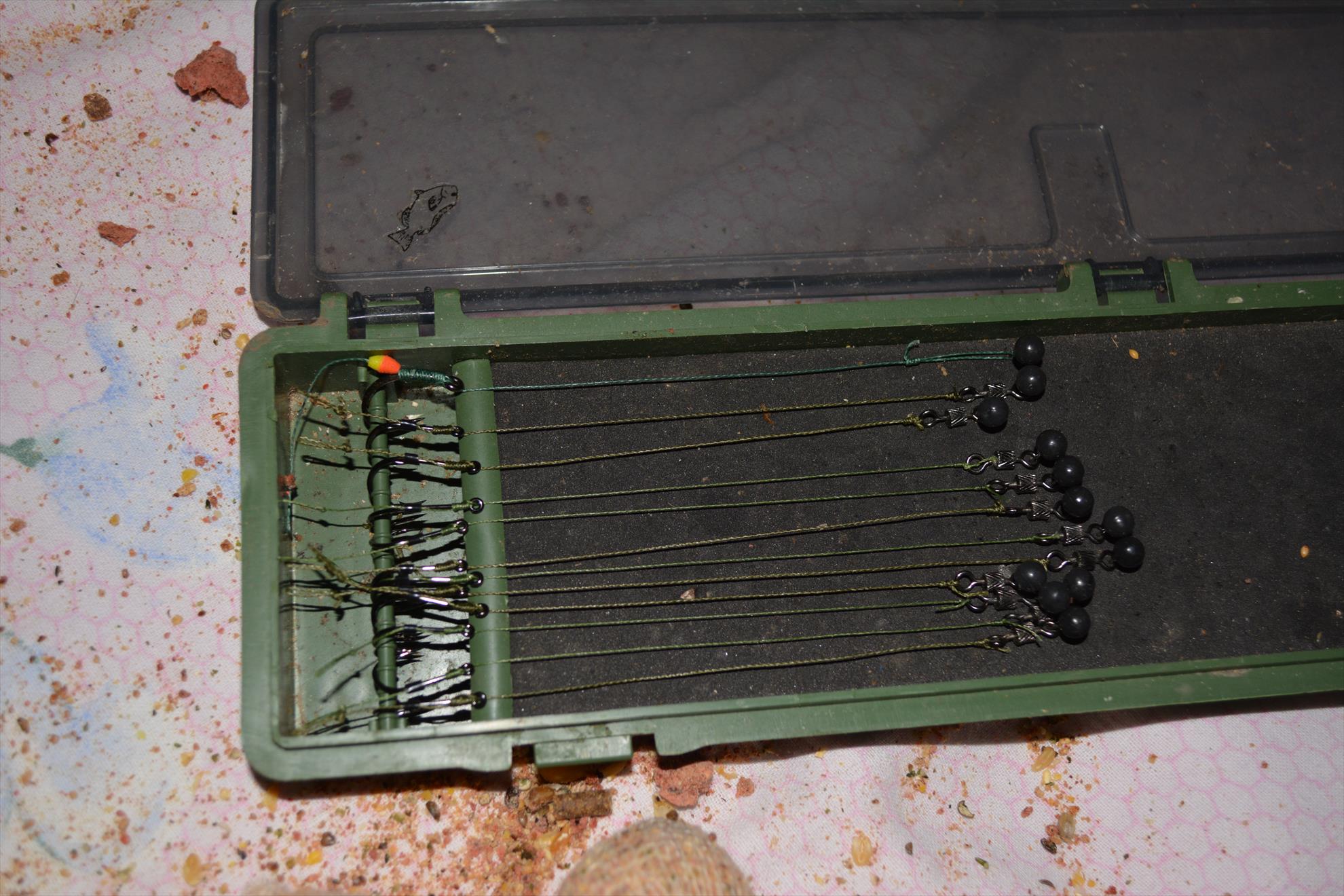 Pregatiri pentru concurs - dsc0060.JPG